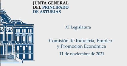 11/11/2021 JUNTA GENERAL PRINCIPADO DE ASTURIAS